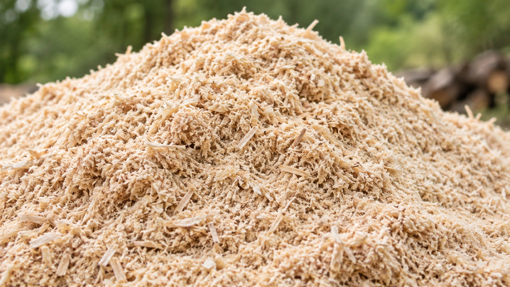 Sawdust